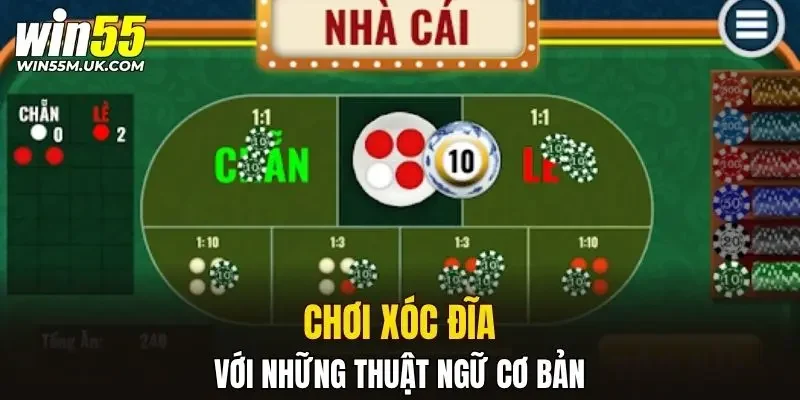 Cách chơi xóc đĩa với những thuật ngữ cơ bản Cách chơi xóc đĩa với những thuật ngữ cơ bản
