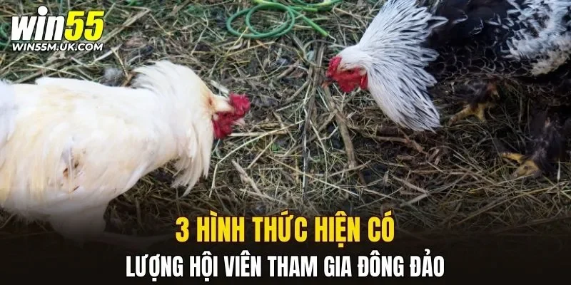 3 hình thức hiện có lượng hội viên tham gia đông đảo 3 hình thức hiện có lượng hội viên tham gia đông đảo
